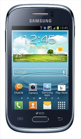 Samsung Galaxy Young GT-S6310T Unlocked GSM Android Cell Phone – Deep ...